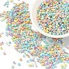 Opaque & Transparent Inside Colours Glass Seed Beads SEED-YW0002-17A-1