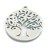 Stainless Steel Pendants PW-WGD8EC8-12-1