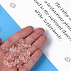 Transparent Acrylic Beads MACR-S373-133-T04-2