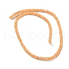 Dyed Natural Freshwater Shell Beads Strands BSHE-G039-07A-2