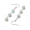 Round Synthetic Aqua Terra Jasper Dangle Earrings EJEW-JE05831-4