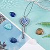 SUPERFINDINGS 16Pcs 16 Style Gemstone Cabochons G-FH0001-44-5