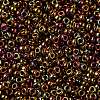 MIYUKI Round Rocailles Beads SEED-JP0010-RR0615-2