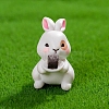 Resin Rabbit Miniature Ornaments PW-WGF87E4-04-1