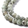 Natural Sesame Jasper/Kiwi Jasper Bead Strands G-R345-6mm-12-4