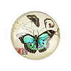 Butterfly Printed Glass Half Round/Dome Cabochons X-GGLA-N004-12mm-C01-1
