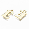 Alloy Charms PALLOY-Q441-025E-NR-3