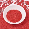 MIYUKI Delica Beads SEED-J020-DB0727-2