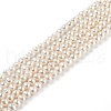 Natural Cultured Freshwater Pearl Beads Strands PEAR-L033-07-01A-1