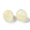 Resin European Beads RESI-F055-02-3