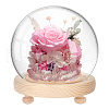   1Pc Glass Dome Cover DJEW-PH0001-40-8
