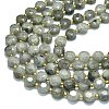 Natural Labradorite Beads Strands G-C116-A98-01-3