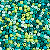 Opaque Glass Round Seed Beads GLAA-TAC0025-07B-02-10