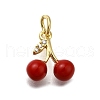 Brass Micro Pave Cubic Zirconia Charms KK-S515-056G-1