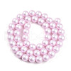 Baking Painted Pearlized Glass Pearl Bead Strands HY-N002-8mm-C03-3