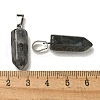 Natural Labradorite Pendants G-Z067-07P-24-4