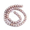 Natural Cultured Freshwater Pearl Beads Strands PEAR-C003-10G-3