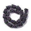 Fruit Series Handmade Lampwork Beads LAMP-R003-04D-1