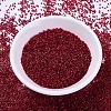 MIYUKI Delica Beads X-SEED-J020-DB0602-2