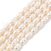 Natural Cultured Freshwater Pearl Beads Strands PEAR-I007-01B-03B-2