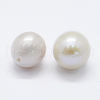 Natural Cultured Freshwater Pearl Beads PEAR-P056-023-2