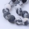 Natural Zebra Jasper Beads Strands G-Q462-6mm-01-1