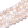 Natural Cultured Freshwater Pearl Beads Strands PEAR-N014-04D-01-3