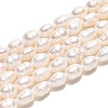 Natural Cultured Freshwater Pearl Beads Strands PEAR-N012-05B-01-2