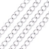 304 Stainless Steel Curb Chains CHS-F006-04B-P-1