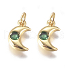 Brass Micro Pave Cubic Zirconia Charms ZIRC-G168-56G-01-1