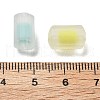 Frosted Transparent Acrylic Beads OACR-A032-24-3