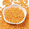 Baking Paint Glass Seed Beads X1-SEED-B001-02A-17-2