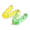Resin Pendant FIND-Q107-01M-04-2