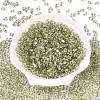 Baking Paint Transparent Glass Seed Beads SEED-N006-05I-2