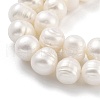 Natural Cultured Freshwater Pearl Beads Strands PEAR-C003-14E-4
