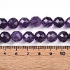 Natural Amethyst Beads Strands G-S345-10mm-32-5