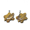 Natural Tiger Eye Pendants G-T091-01-1