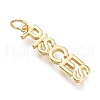Brass Pendants X-ZIRC-I048-15G-09-1