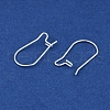 304 Stainless Steel Hoop Earring Findings STAS-P223-01S-01-2