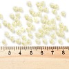 Baking Paint Glass Seed Beads X1-SEED-A032-02I-4