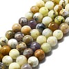 Natural Opal Beads Strands G-I356-A03-03-1