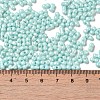 Opaque Colours Luster Glass Seed Beads SEED-B001-01A-08-4