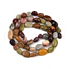 Natural Alashan Agate Beads Strands G-Q060-D19-01-3