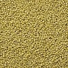 (Repacking Service Available) Glass Seed Beads SEED-C021-2mm-122-2