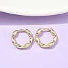 Oval Brass Hoop Earrings EJEW-Z102-34G-1