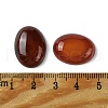 Natural Red Agate Cabochons G-L601-03F-01-3