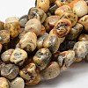 Natural Crazy Lace Agate Nuggets Bead Strands G-L288-12-1