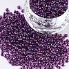 8/0 Glass Seed Beads SEED-A016-3mm-213-1