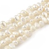 Natural Cultured Freshwater Pearl Beads Strands PEAR-A006-18A-2