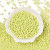 Baking Paint Glass Seed Beads SEED-T006-03D-1